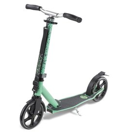 FRENZY SCOOTERS FRENZY 10+ RECREATIE STEP 205 MM VOOR KINDEREN & VOLWASSENEN